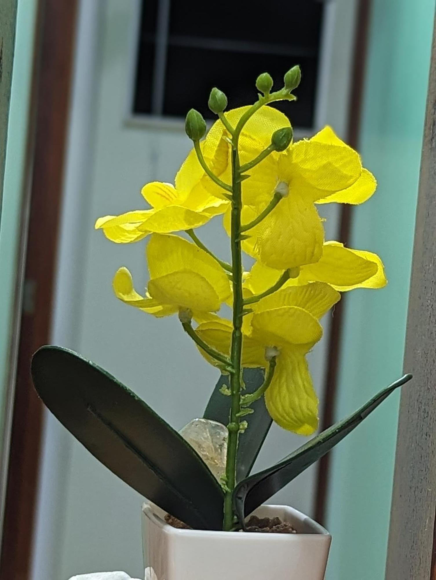 فيلا Bernardini House كابو فريو المظهر الخارجي الصورة